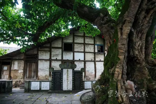 爱上合江先市的理由，都在这份地方特产名单里！(图1)