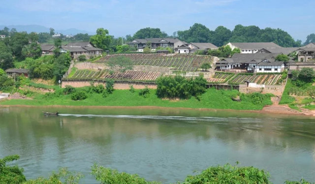 爱上合江先市的理由，都在这份地方特产名单里！(图2)