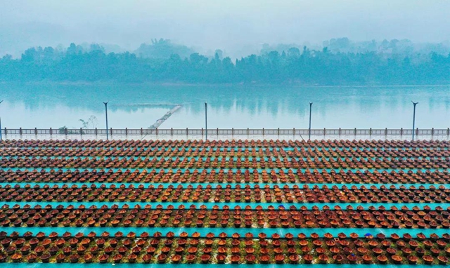 爱上合江先市的理由，都在这份地方特产名单里！(图6)