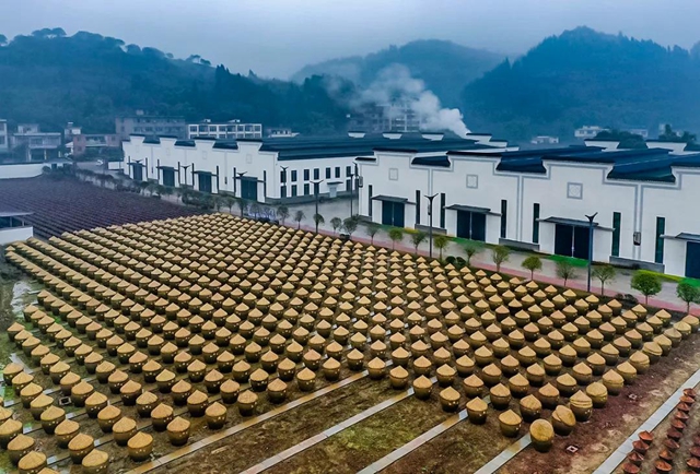 爱上合江先市的理由，都在这份地方特产名单里！(图5)