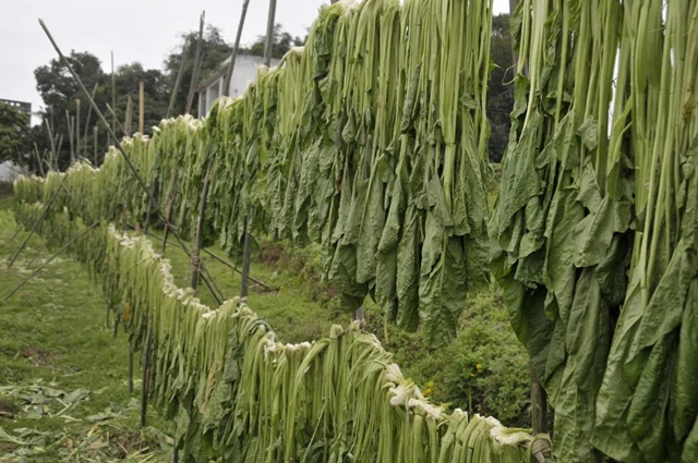 爱上合江先市的理由，都在这份地方特产名单里！(图11)