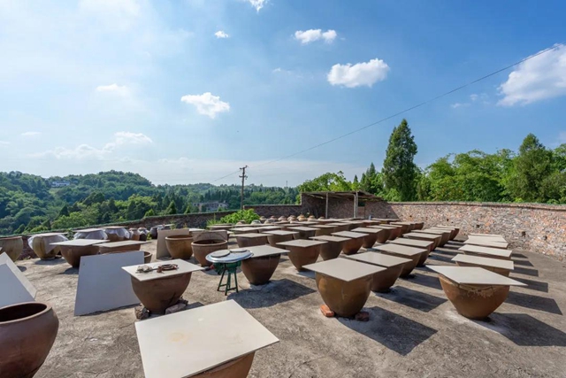 爱上合江先市的理由，都在这份地方特产名单里！(图13)