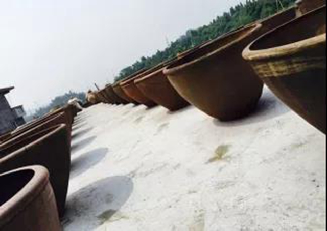 爱上合江先市的理由，都在这份地方特产名单里！(图14)