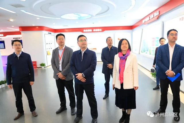 内江市政府考察组到泸州国家高新区考察(图1)