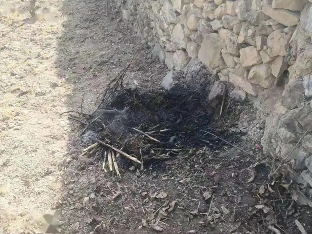 四川发布史上最严防火命令！299人被拘留！(图3)