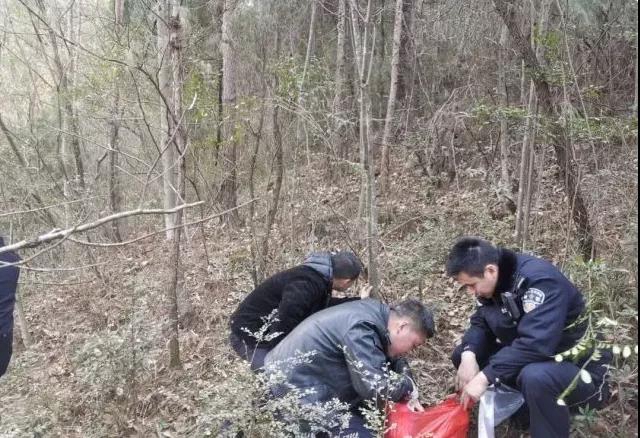 四川发布史上最严防火命令！299人被拘留！(图4)