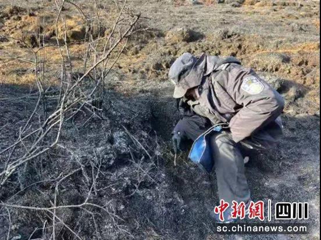 四川发布史上最严防火命令！299人被拘留！(图5)