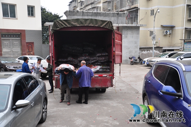 泸县免费发放15.6吨酿酒高粱种子(图3)