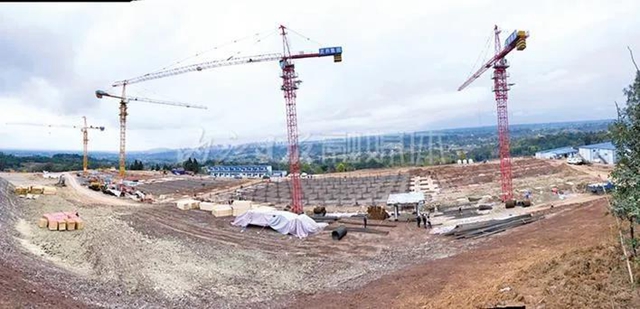 隆昌这个新建的大楼不住人，用来养猪！(图1)