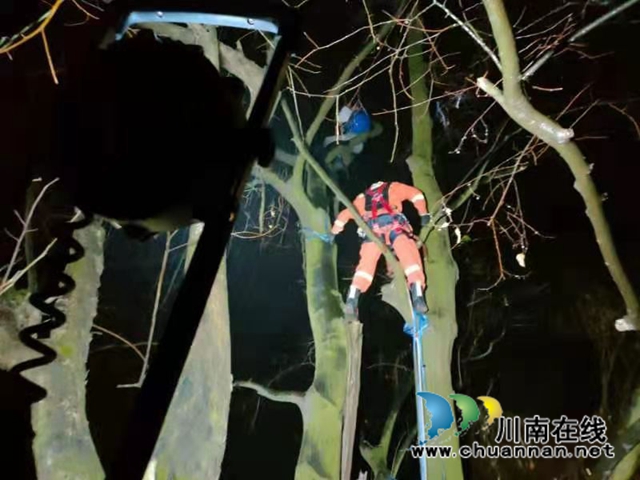 古蔺男子爬上30米高树欲轻生　古蔺消防雨中艰苦救援(图3)