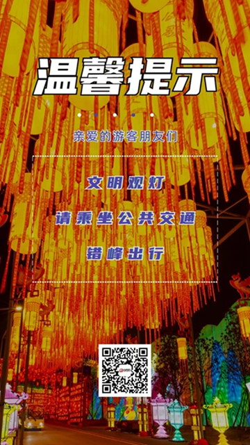 自贡灯会又见人山人海！(图8)