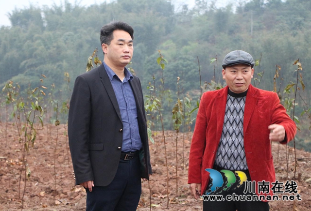 合江县委统战部走访新联会会员产业基地(图3) 合江县委统战部走访新联会会员产业基地(图3)