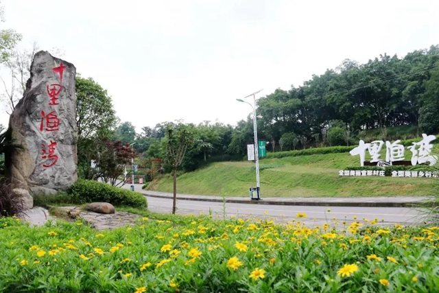 乡村文化旅游丨龙马潭区“三举措”提升乡村旅游品质(图4) 乡村文化旅游丨龙马潭区“三举措”提升乡村旅游品质(图4)