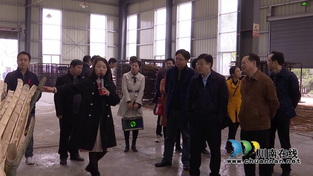 重庆永川区发改委到合江考察成渝双城经济圈协同发展工作(图4)