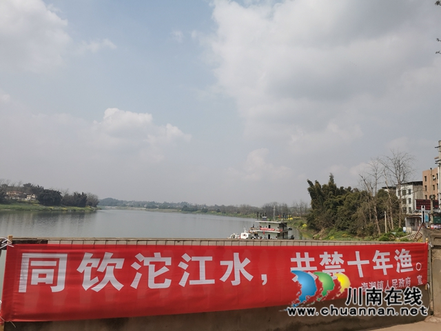 泸县开展长江流域禁渔专项整治巡查行动(图5)