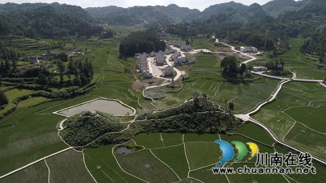 古蔺龙山：抓产业脱贫成效，奠乡村振兴基础(图1)