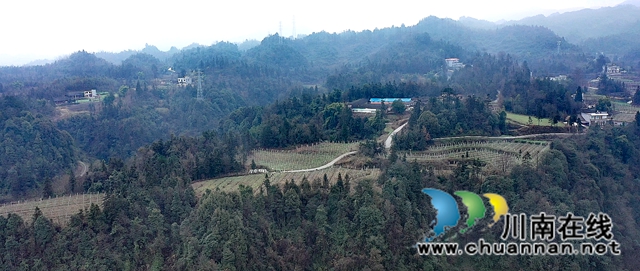 古蔺龙山：抓产业脱贫成效，奠乡村振兴基础(图4)