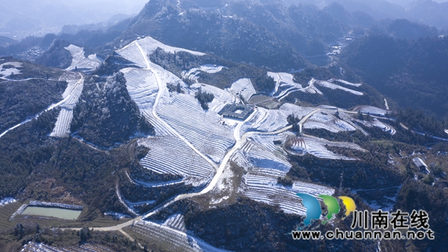 古蔺龙山：抓产业脱贫成效，奠乡村振兴基础(图7)