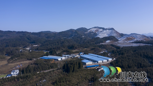 古蔺龙山：抓产业脱贫成效，奠乡村振兴基础(图8)