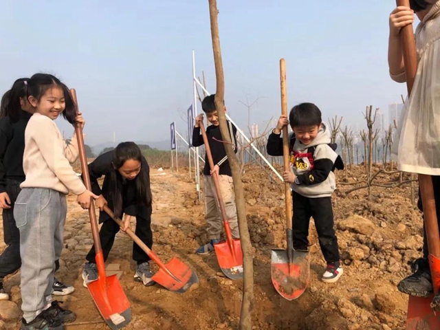 义务植树两天，泸州新增绿地5.2万平方米！(图8)