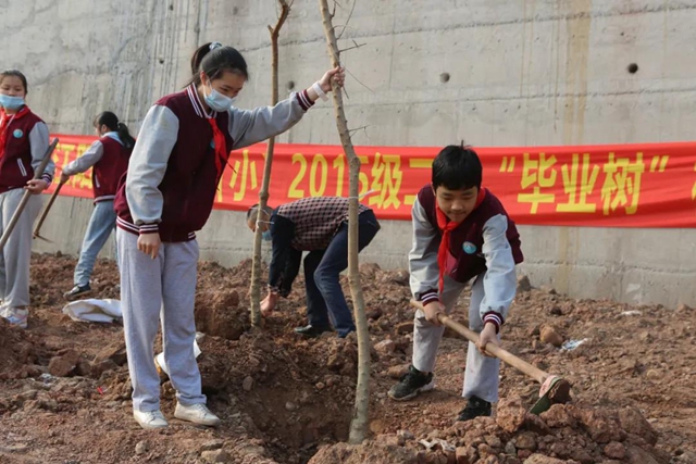 义务植树两天，泸州新增绿地5.2万平方米！(图6)