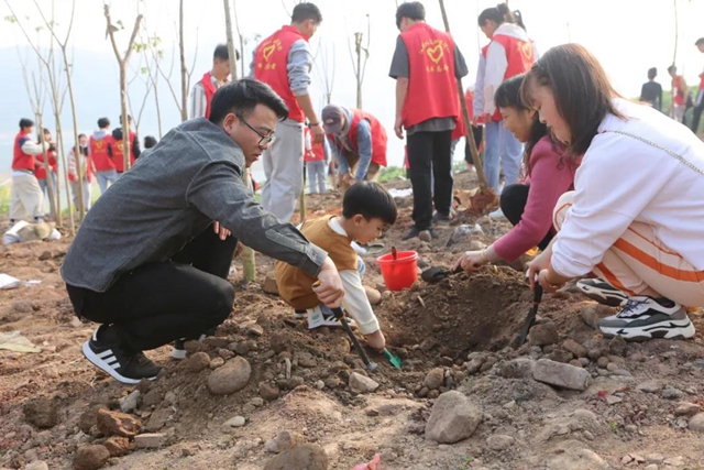 义务植树两天，泸州新增绿地5.2万平方米！(图7)