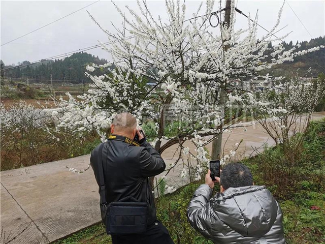 漂亮！内江这个地方惊现“雪海”美景(图2)