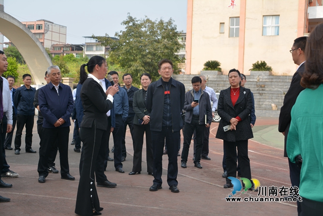 杨林兴到合江县荔江镇中心校调研教育工作