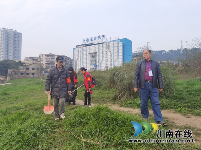 龙马潭区小市街道开展河岸清理志愿活动(图2) 龙马潭区小市街道开展河岸清理志愿活动(图2)
