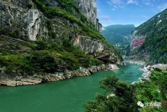 全市只有十家!沈酒酱香•原浆获评“2020年度泸州市消费者喜爱商品”(图2) 全市只有十家!沈酒酱香•原浆获评“2020年度泸州市消费者喜爱商品”(图2)