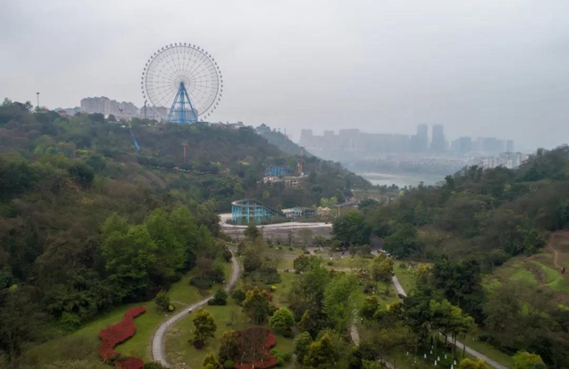 位于城区！泸州这处“秘密花园” 等你来围观！(图2)