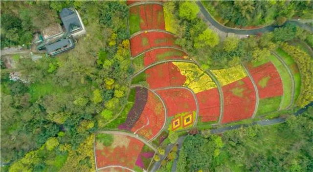 位于城区！泸州这处“秘密花园” 等你来围观！(图4)