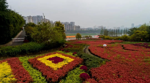 位于城区！泸州这处“秘密花园” 等你来围观！(图5)