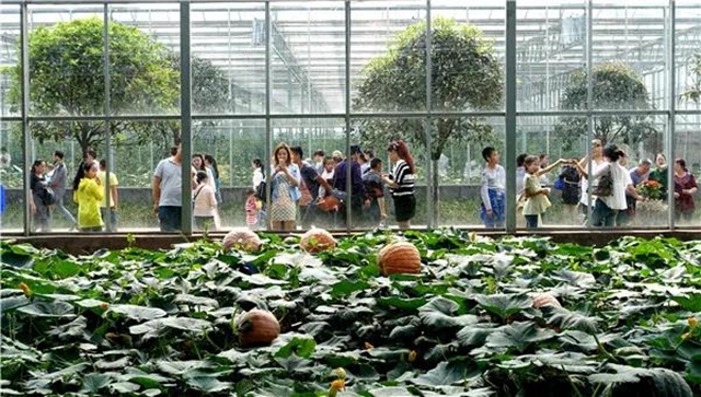 四川省第十二届（春季）乡村文化旅游节将在泸州举行（内附三大精品乡村旅游线路）(图4)