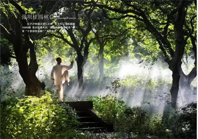 四川省第十二届（春季）乡村文化旅游节将在泸州举行（内附三大精品乡村旅游线路）(图5)