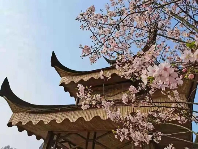 四川省第十二届（春季）乡村文化旅游节将在泸州举行（内附三大精品乡村旅游线路）(图9)