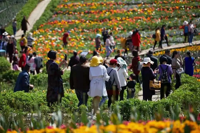 四川省第十二届（春季）乡村文化旅游节将在泸州举行（内附三大精品乡村旅游线路）(图10)