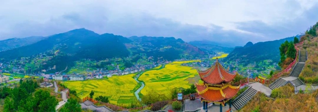 古蔺这儿有片金色的“海洋”！一起去记录春天的美丽(图9)