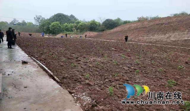 行动迅速！泸州两起乱占耕地顶风违建项目整治到位