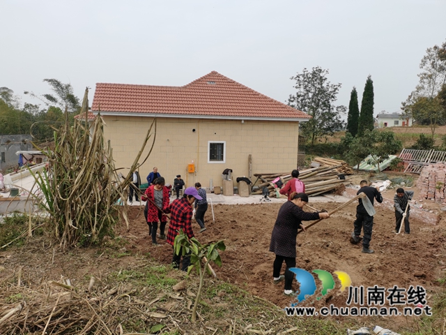 行动迅速！泸州两起乱占耕地顶风违建项目整治到位(图2)