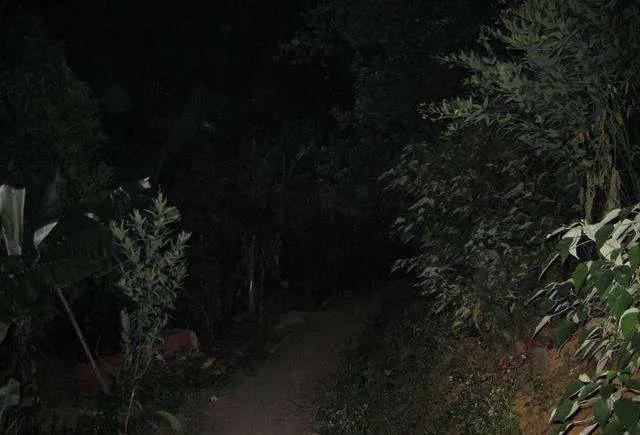 毒蛇提前出关?泸州2人被咬伤住院……(图8) 毒蛇提前出关?泸州2人被咬伤住院……(图8)