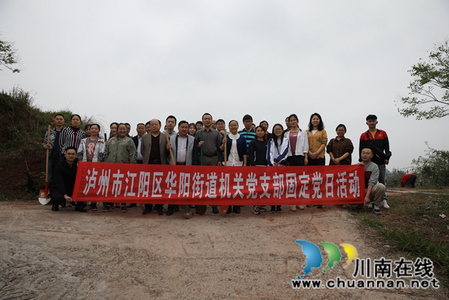 江阳区华阳街道开展固定党日义务植树活动