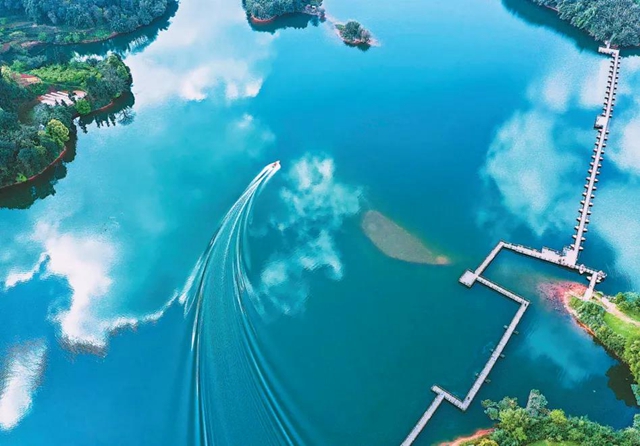 明前采茶+湖光春景丨今天，泸州纳溪登上人民日报！(图3)