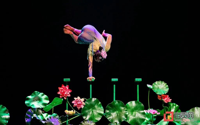 登上央视！面向全球！这一自贡“元素”要火……(图2)