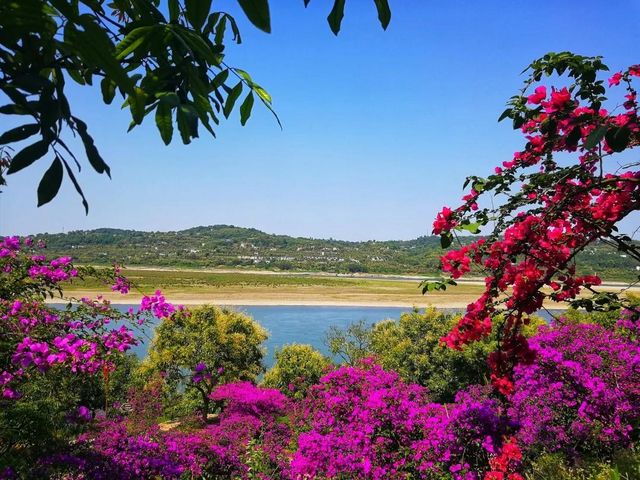 泸州这些网红打卡地，有你要的“诗和远方”(图5)