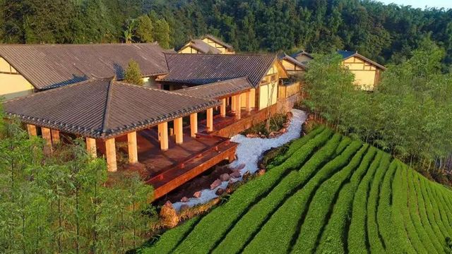 泸州这些网红打卡地，有你要的“诗和远方”(图11)