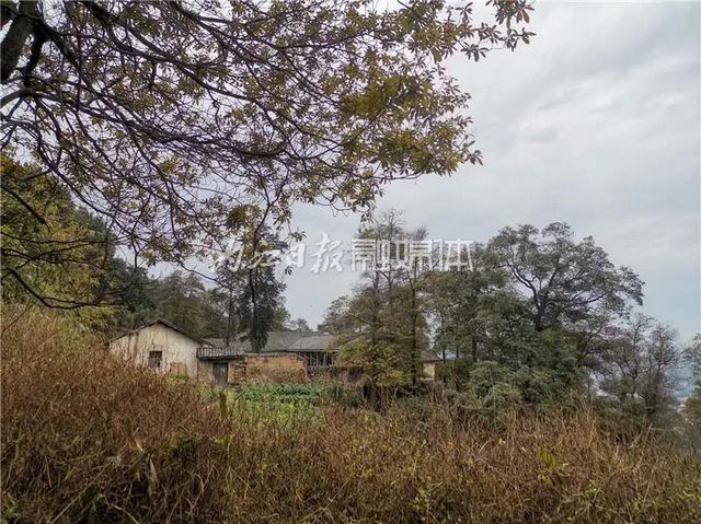 自明朝永乐年间流传下来！这幅“山水画”在隆昌被发现了(图1)