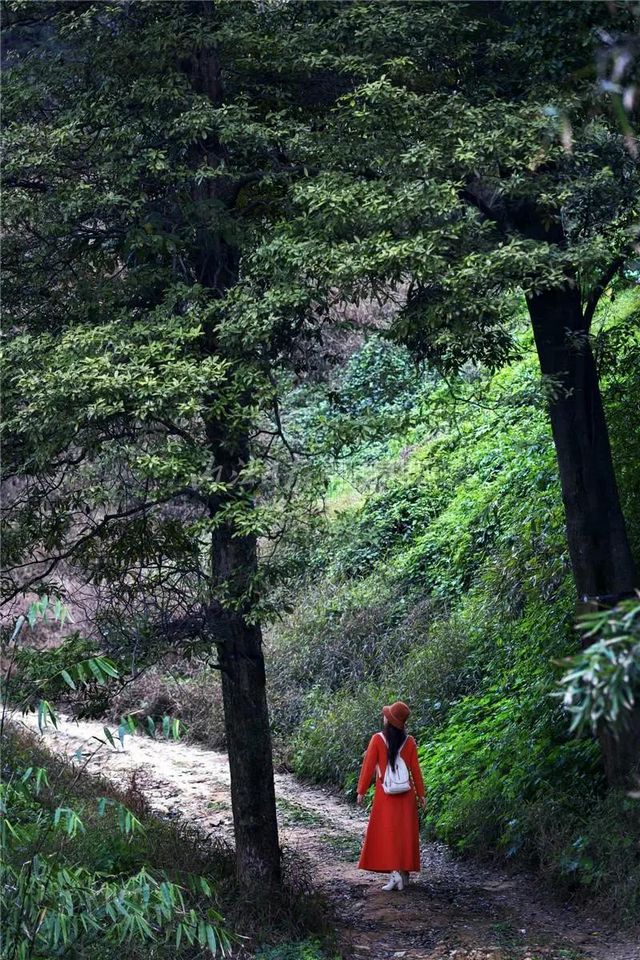 自明朝永乐年间流传下来！这幅“山水画”在隆昌被发现了(图6)