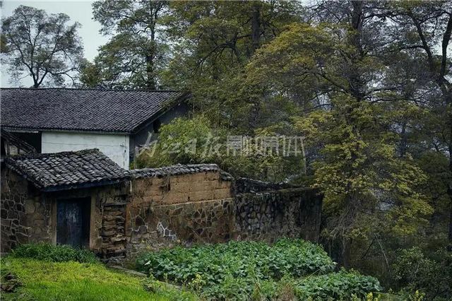 自明朝永乐年间流传下来！这幅“山水画”在隆昌被发现了(图11)