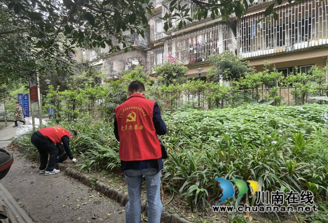 龙马潭区小市街道开展每周一小时志愿服务活动